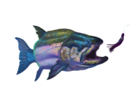 Ketchikan Crab Tour